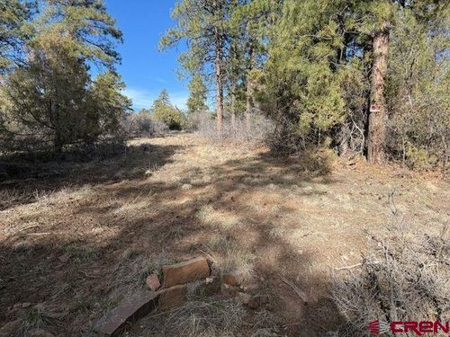495 Justins Rd, Pagosa Springs, CO, 81147-8271 | Card Image