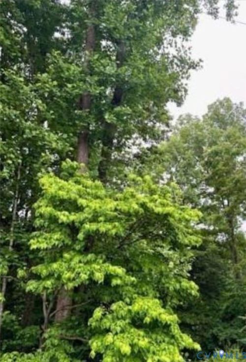 0 Spain Dr, Petersburg, VA, 23805 | Card Image
