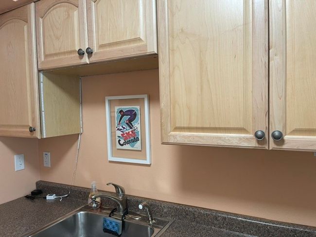 Interior details featuring light brown cabinetry, dark countertops, and a sink | Image 18