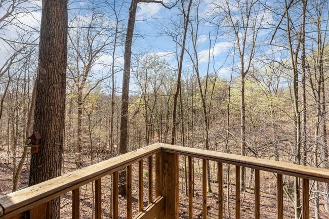 View from rear deck | Image 22