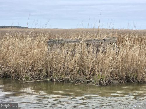 deep-branch-Waterfowl &amp; Sika / Du Wesley Road, CRAPO, MD, 21626 | Card Image