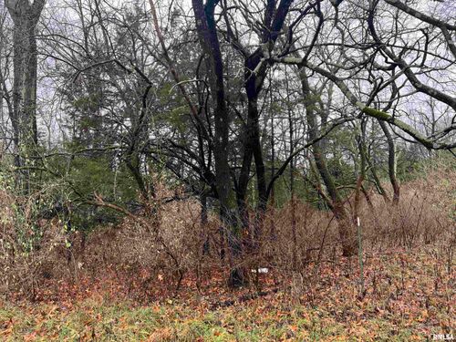 2975 Eagle Point Bay Rd, Goreville, IL, 62939 | Card Image