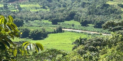Carr 424 Bo Guacio, San Sebastian, PR, 00685 | Card Image
