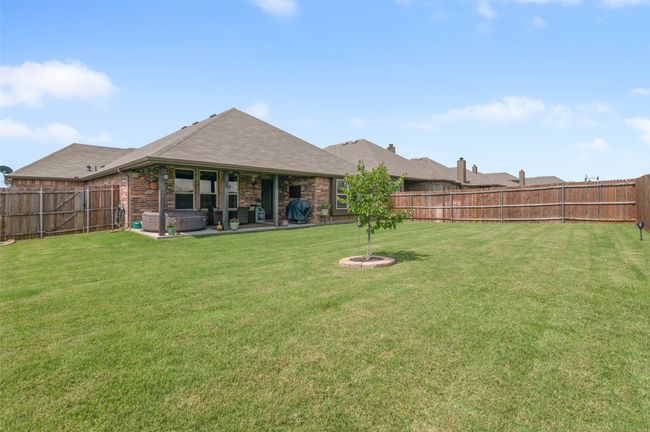 Large back yard | Image 25