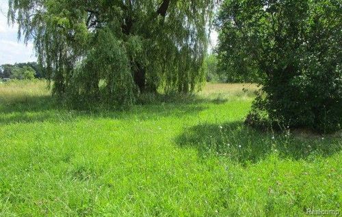 V/L 0 Detroit Street, Mt. Morris, MI, 48505 | Card Image