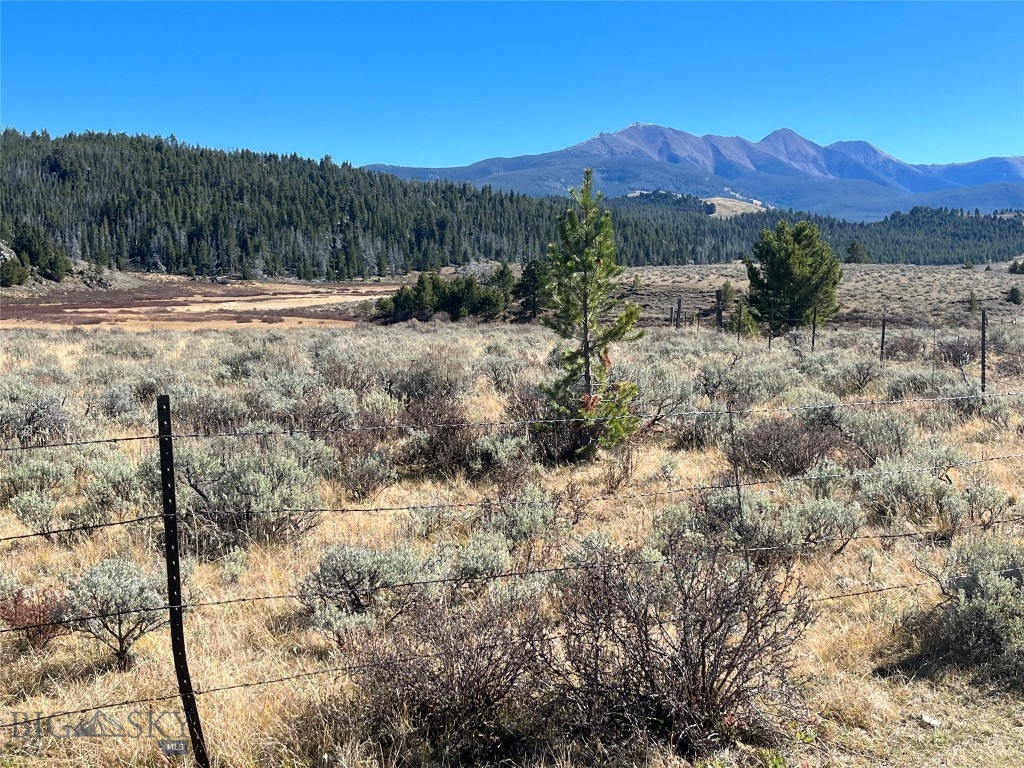 Land in Butte 4
