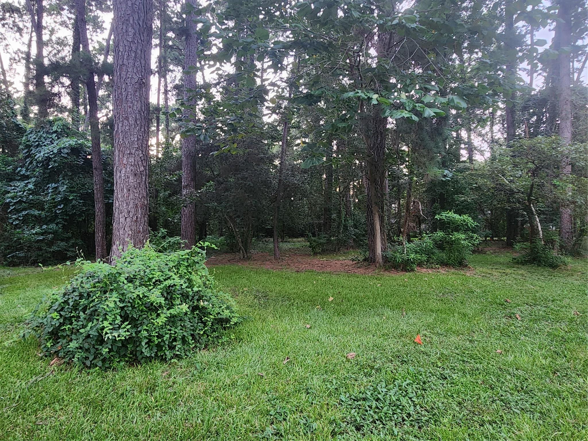 Land in Willis 3