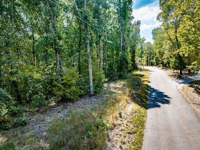 LOT 14/16 Ridgeway Dr, Home with 0 bedrooms, 0 bathrooms and null parking in Sugar Tree TN | Image 4