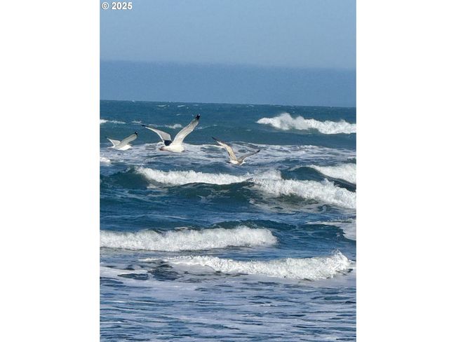 4 - 000 Old Coast Hwy, Home with 0 bedrooms, 0 bathrooms and null parking in Gold Beach OR | Image 12
