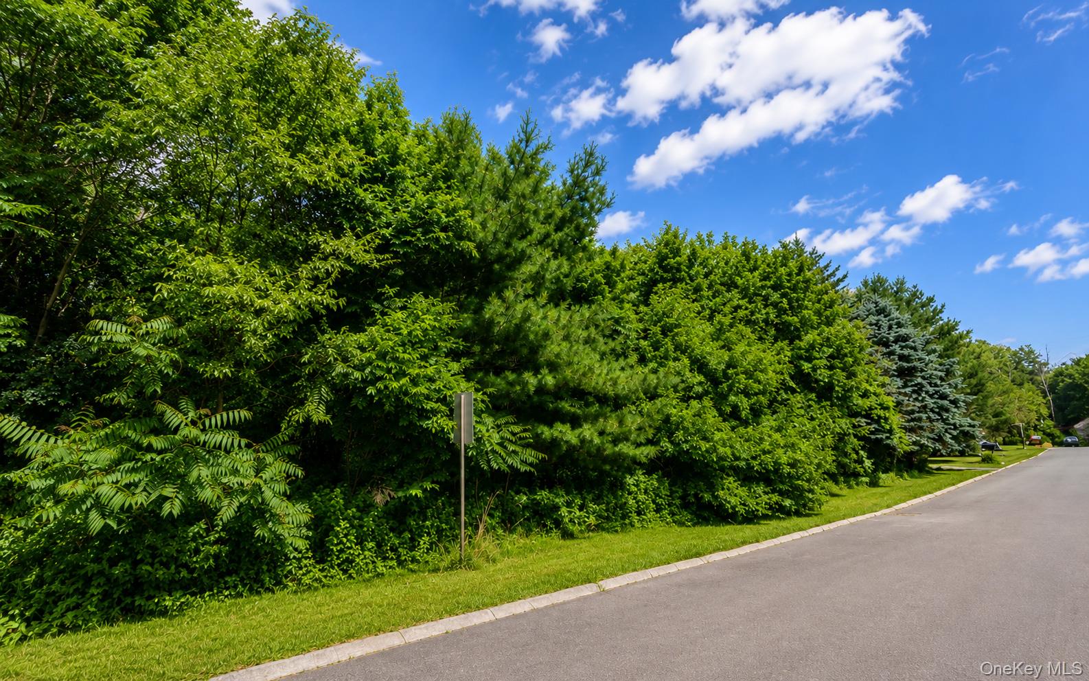 Land in Pleasant Valley 5
