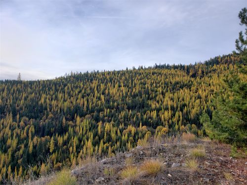 TBD Nine Mile Road, Huson, MT, 59846 | Card Image