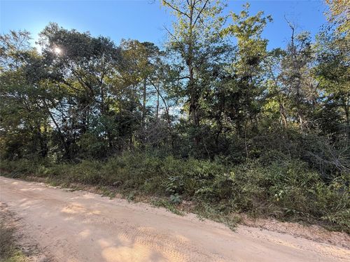 TBD Lannie Blvd, Livingston, TX, 77351 | Card Image