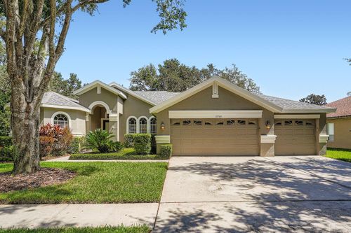 15206 Merlinpark Pl, LITHIA, FL, 33547-3905 | Card Image