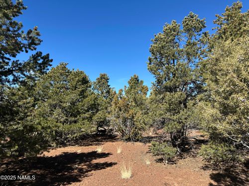 10379 N Overlook Dr, Williams, AZ, 86046 | Card Image