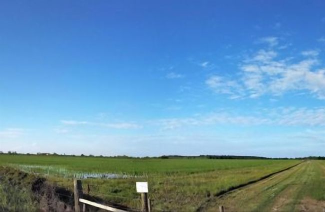 001 Fm 365, Home with 0 bedrooms, 0 bathrooms and null parking in Nome TX | Image 5