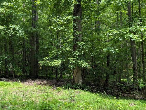 Lot 58 Acadia Dr, Ellijay, GA, 30540-5768 | Card Image
