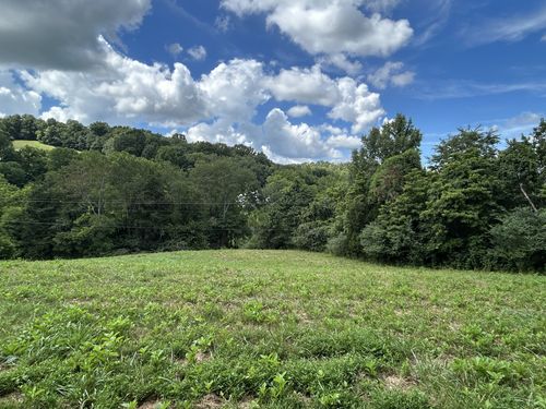 1 Chicken Creek Rd, Pulaski, TN, 38478 | Card Image