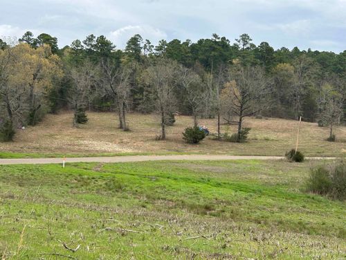 13673 Young Gravelly Rd, Gravelly, AR, 72838-8806 | Card Image