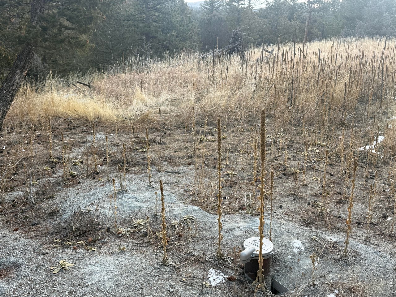 Land in Boulder 5