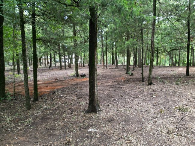 View of nature | Image 11