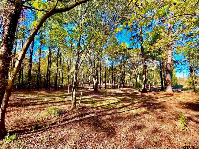 000 Grand View Dr, Home with 0 bedrooms, 0 bathrooms and null parking in Athens TX | Image 14