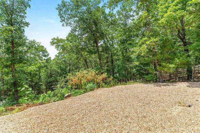 Briggs-27 | Image 23