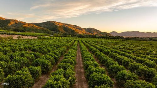 0 Goodenough Rd, Fillmore, CA, 93015 | Card Image