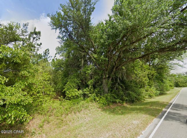 0 Messer Rd, Home with 0 bedrooms, 0 bathrooms and null parking in Sneads FL | Image 4