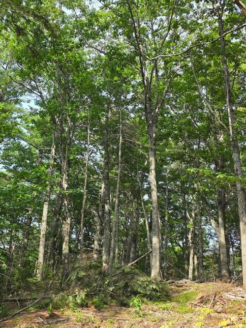 00 Pinnacle Road, Liberty, ME, 04949 | Card Image