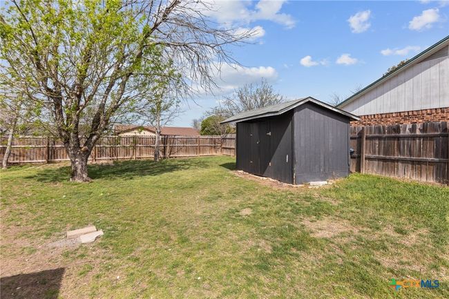 Back yard | Image 27