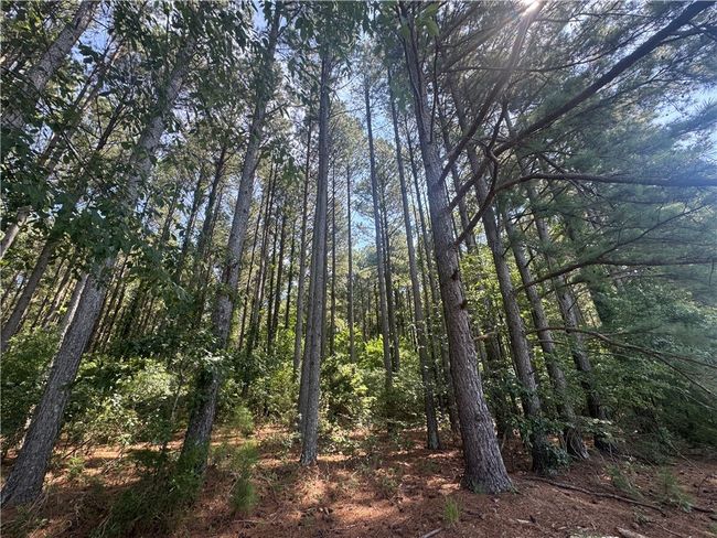 3 Rogers Rd, Home with 0 bedrooms, 0 bathrooms and null parking in Pendleton SC | Image 16