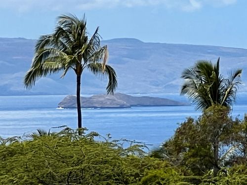 9-10 Halapa Pl, Kihei, HI, 96753-5711 | Card Image