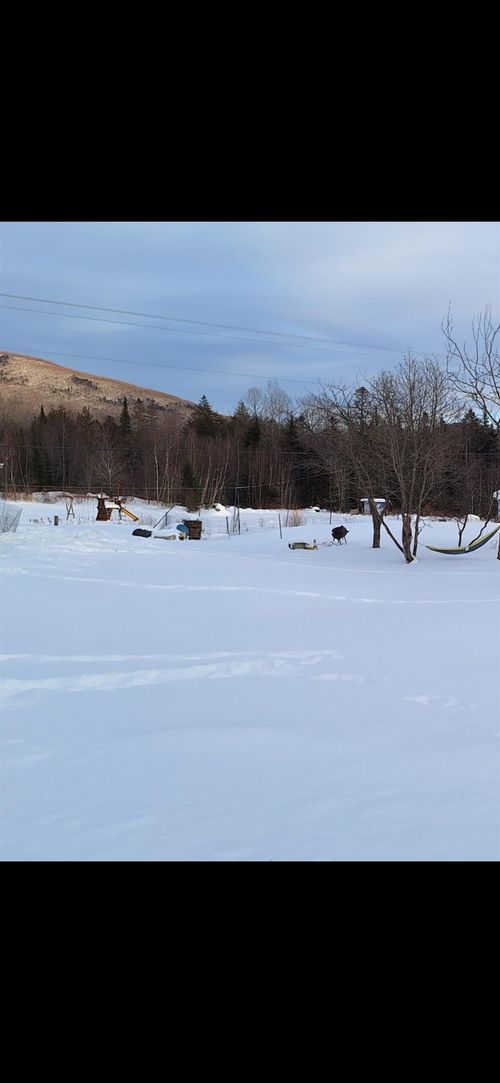 296 George St, Orange, VT, 05641-9669 | Card Image