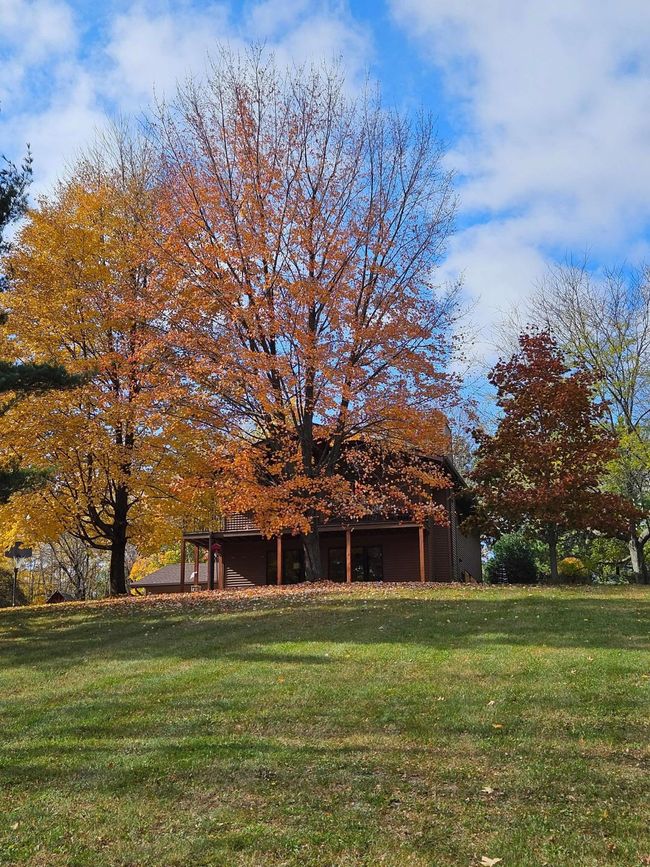 Multiple maple trees create a breathtaking fall display year after year. | Image 59