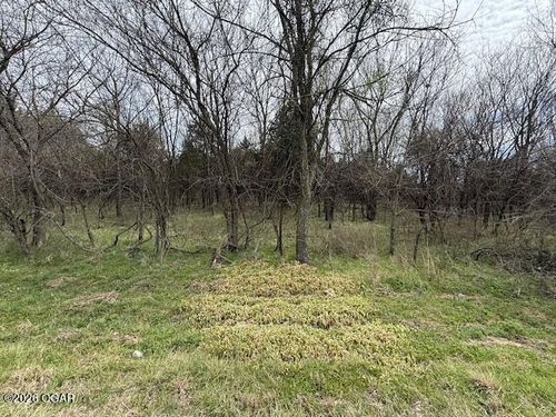 tract-2-XXX2 County Road 90, Sarcoxie, MO, 64862 | Card Image