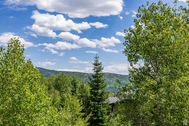 8 - 8719 Parleys Ln, Home with 0 bedrooms, 0 bathrooms and null parking in Park City UT | Image 40