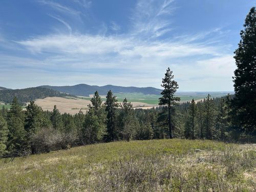 TBD E Steptoe View Ln, Latah, WA, 99018 | Card Image