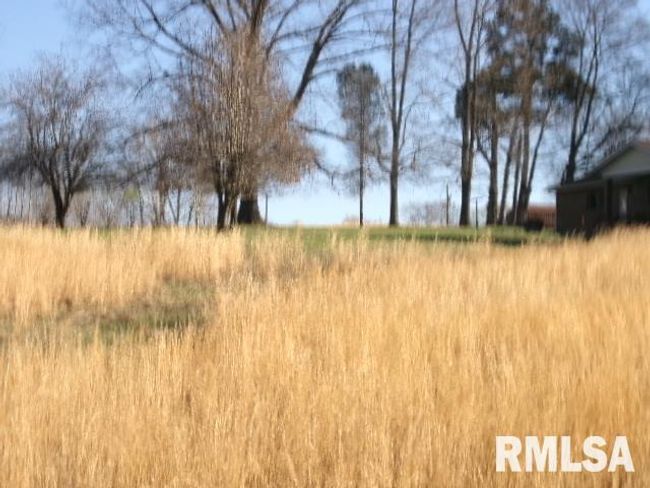 2225 Route 34, House other with 4 bedrooms, 2 bathrooms and null parking in Rosiclare IL | Image 65
