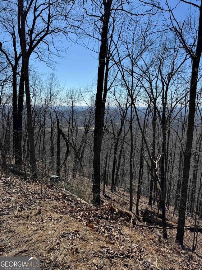 7349 Starlight Ln, Home with 0 bedrooms, 0 bathrooms and null parking in Jasper GA | Image 18
