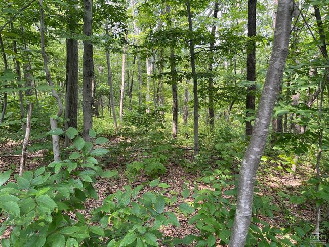 0 Cascade Mountain Rd, Home with 0 bedrooms, 0 bathrooms and null parking in Amenia NY | Image 14