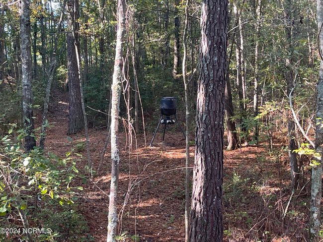 6879 Haynes Lennon Hwy, Home with 0 bedrooms, 0 bathrooms and null parking in Evergreen NC | Image 4