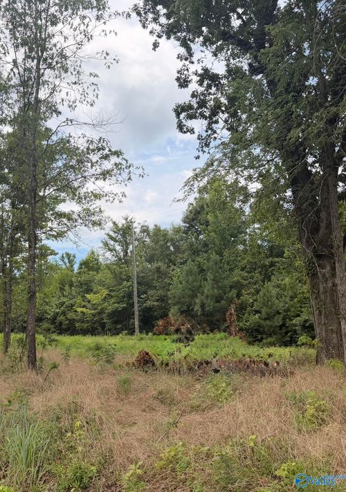 Lot 59 County Road 32, Piedmont, AL, 36272-4769 | Card Image