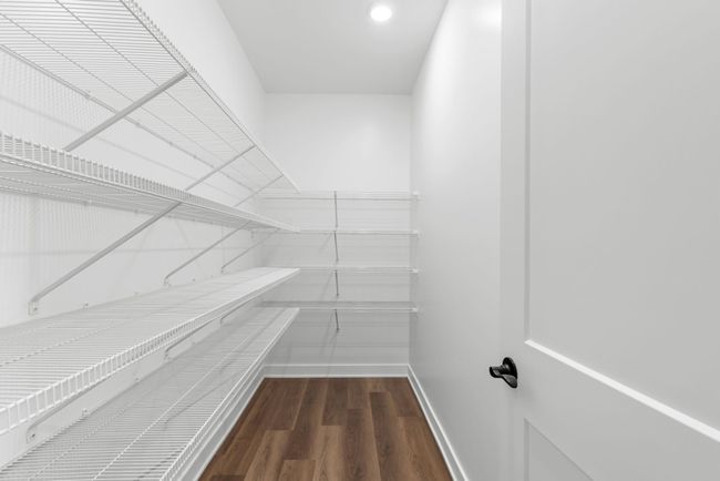20-web-or-mls-800A2718.jpg | Image 20