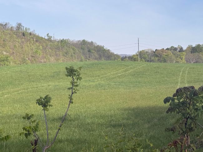 0 Lester Jarnigan Rd, Home with 0 bedrooms, 0 bathrooms and null parking in Rutledge TN | Image 6