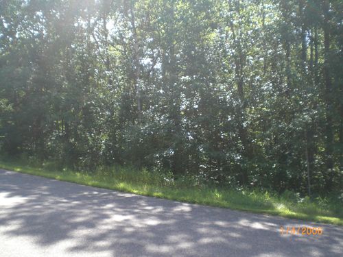 Lot 12 Fallen Leaf Cir, Pequot Lakes, MN, 56472 | Card Image