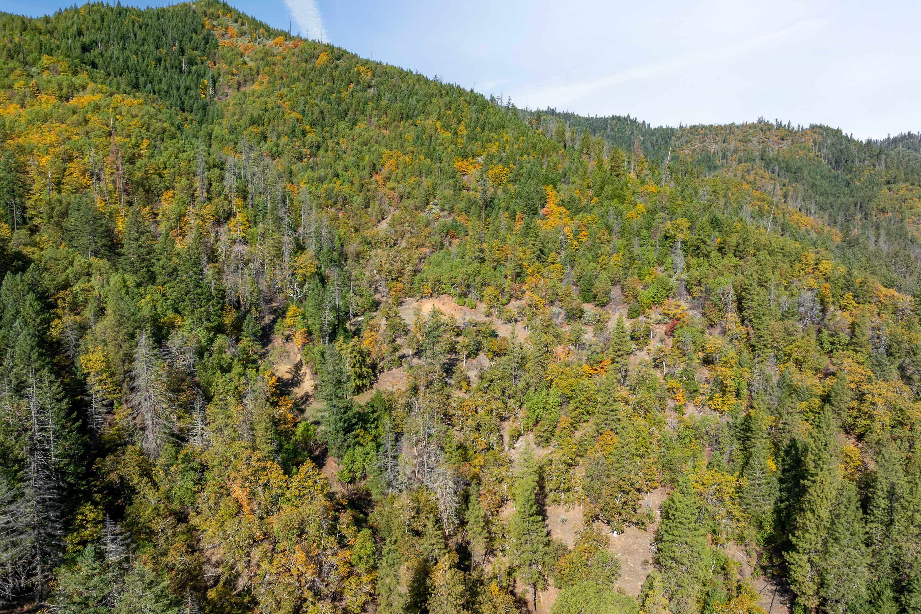 Land in Gold Hill 4