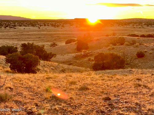 - Woodland Valley Ranch 36 Acres, St. Johns, AZ, 85936 | Card Image