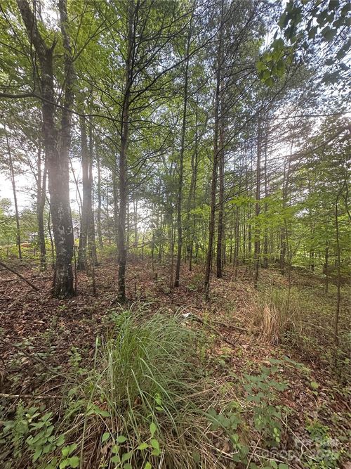 99999 Fairfield Ln, Marion, NC, 28752 | Card Image