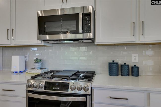 288 Chapin Place Way, House other with 5 bedrooms, 4 bathrooms and null parking in Chapin SC | Image 31