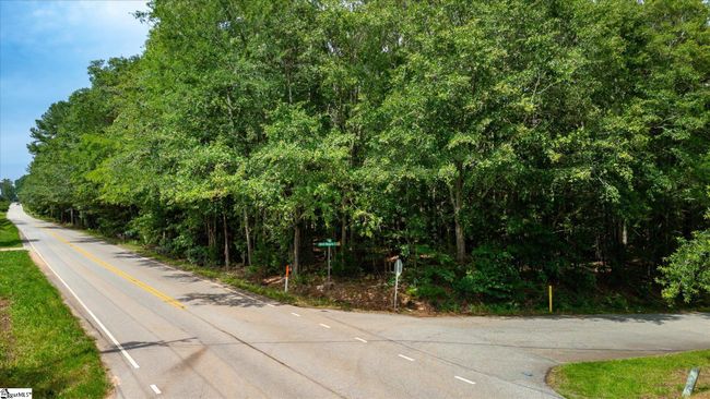 00 Watt Rogers Rd, Home with 0 bedrooms, 0 bathrooms and null parking in Pelzer SC | Image 9